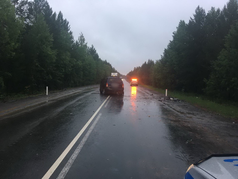 Полиция разыскивает очевидцев смертельного ДТП в Братском районе