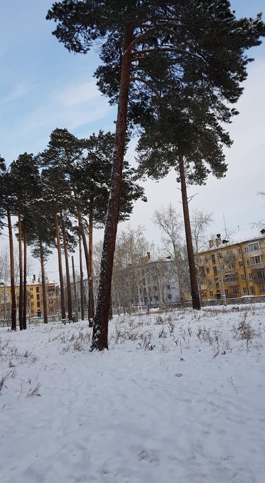 Яна Синявская: По наказам жителей планируем благоустроить парк в Братске